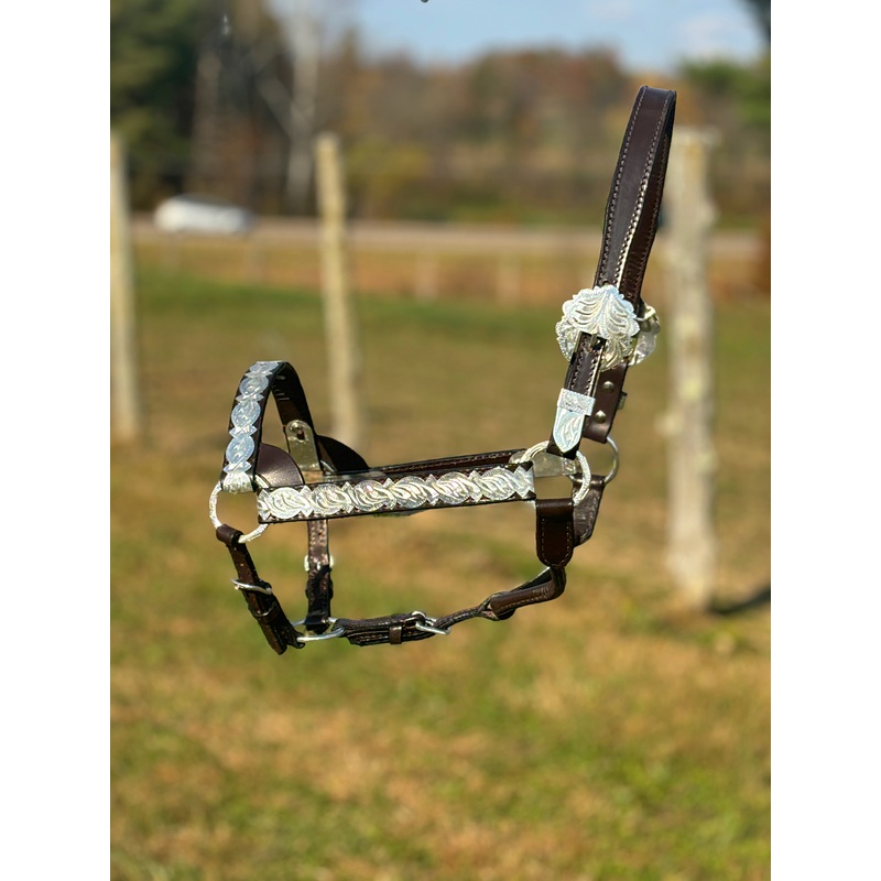 Dark Leather Show Halter ~ Horse