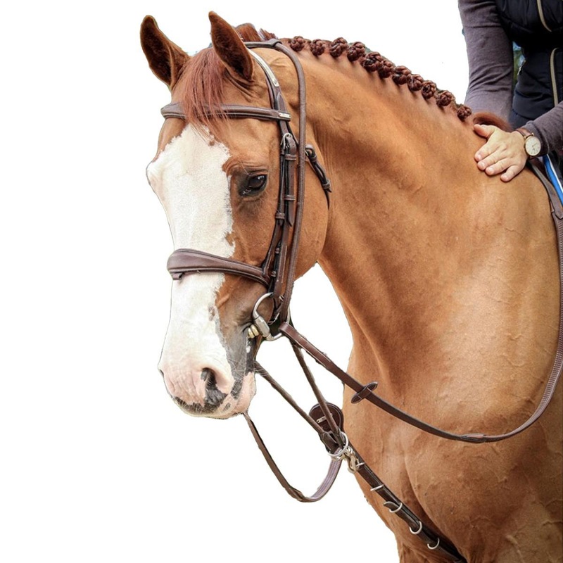 Jump’in Patrick Training Aid Hazelnut Full