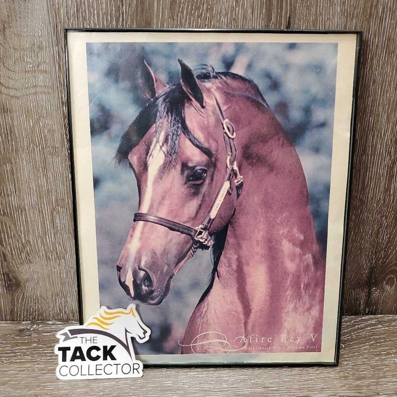 ‘Afire Bey V” Arabian Horse Picture, Light Plastic Frame *fair/gc, faded, stains, dirty Multi/Bronze Used