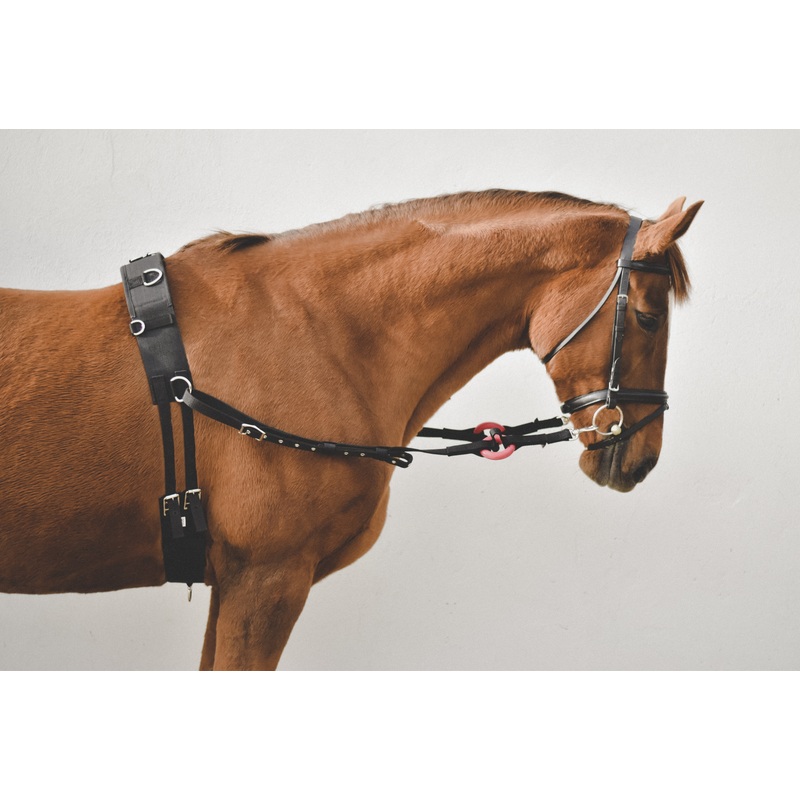Nylon Side Rein W/Rubber Ring Pony