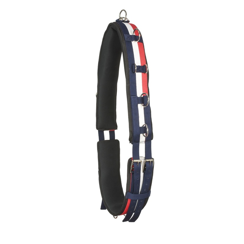 Whitaker Lunge Roller Full