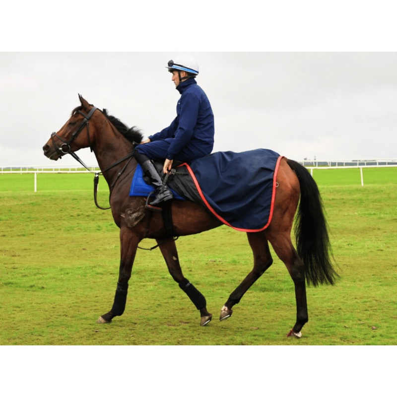 Turfmasters Waterproof Exercise Sheet 4ft6in