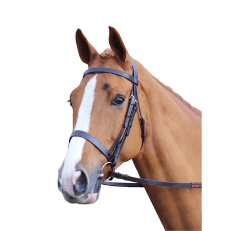 Velociti GARA Plain Bridle – Havana Pony Havana