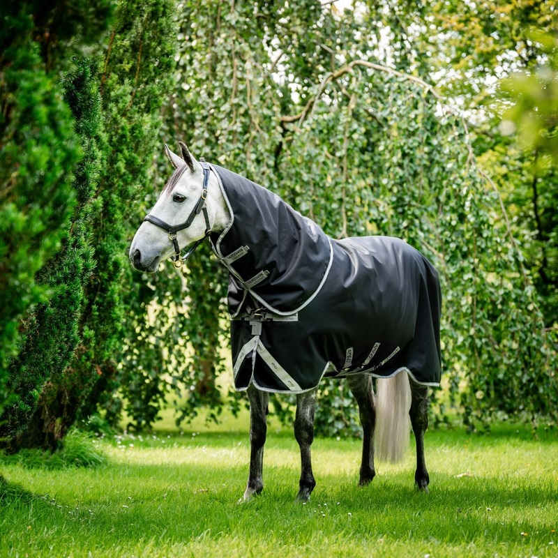 Amigo 1200D Plus Turnout 100g by Horseware Ireland