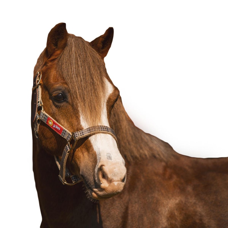 5/A Baker Breakaway Halter with Full Leather Crown Yearling