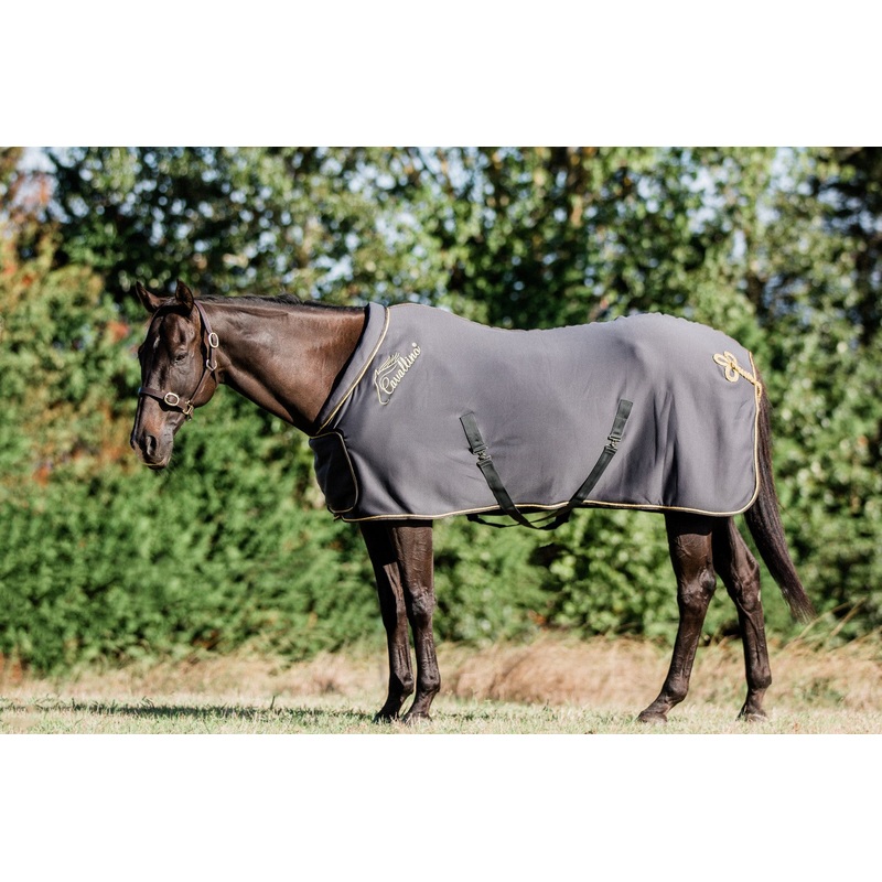 Cavallino Fleece Show Rug ***CLEARANCE Slate Grey with Gold Trim 43