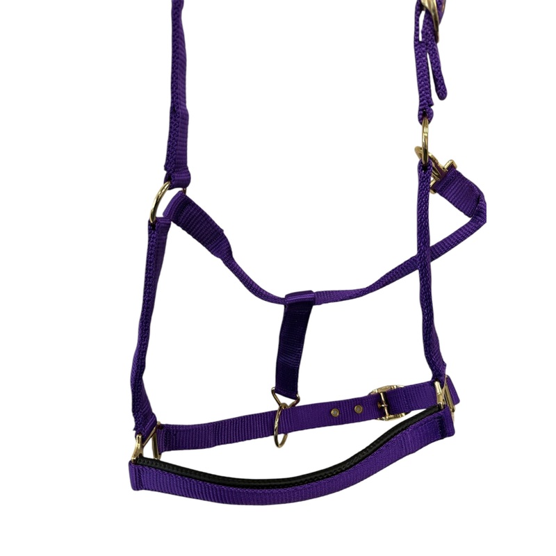Turfmasters Padded Nylon Halter Small-Pony Black