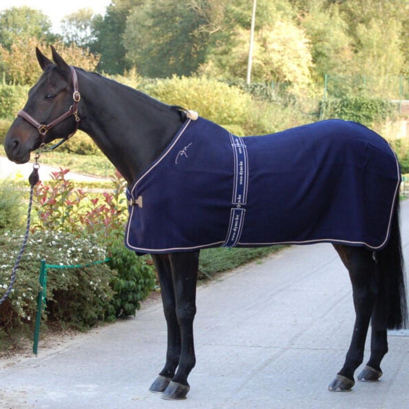Dyon Elastic Surcingle
