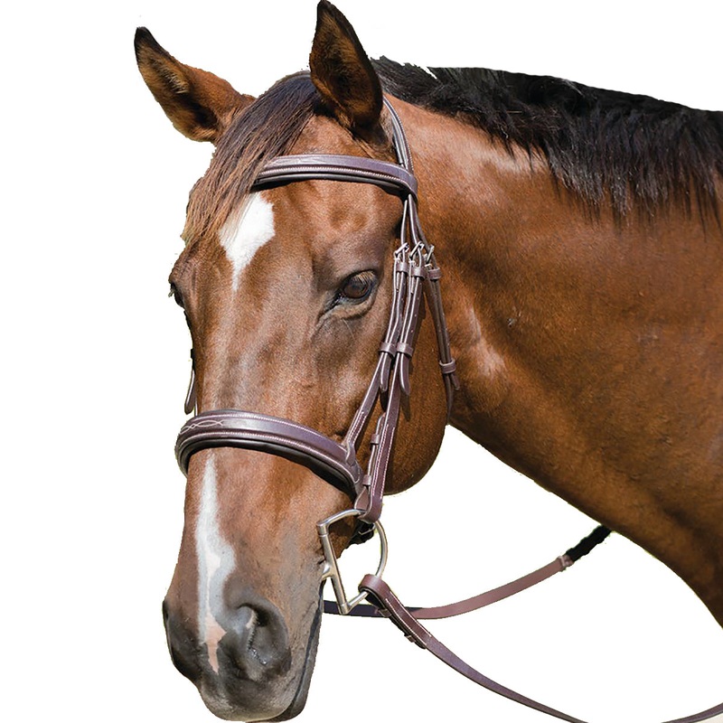 Avignon Wellington Bridle Havana Pony
