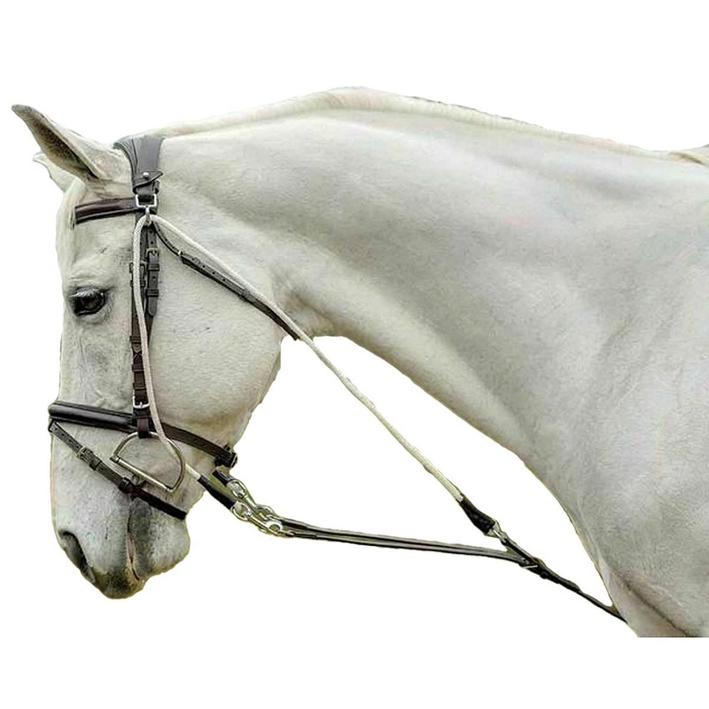Avignon De Gogue Training Aid Black Leather Pony