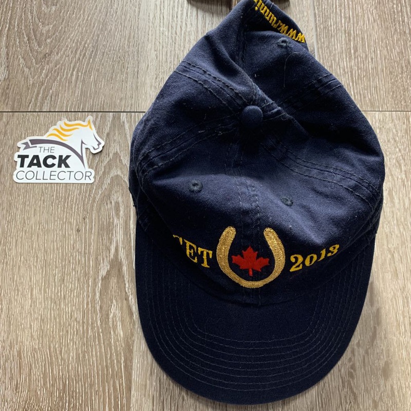 “CET 2013” Ball Cap *gc, faded, hairy Navy/multi Used
