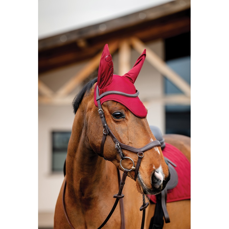 Amigo Earnet – Mulberry