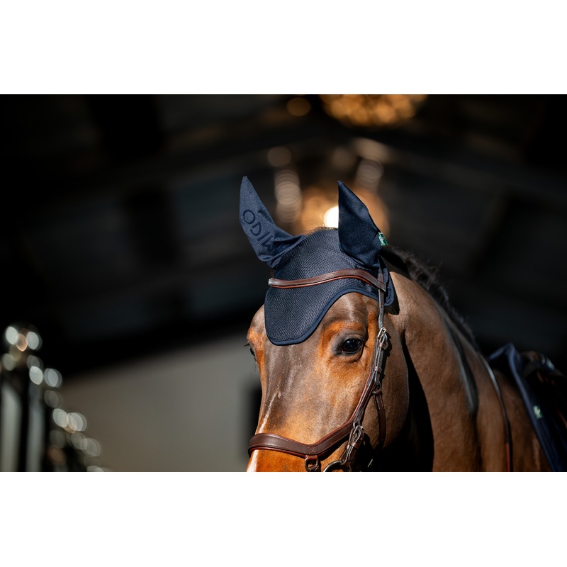 Amigo Earnet – Navy