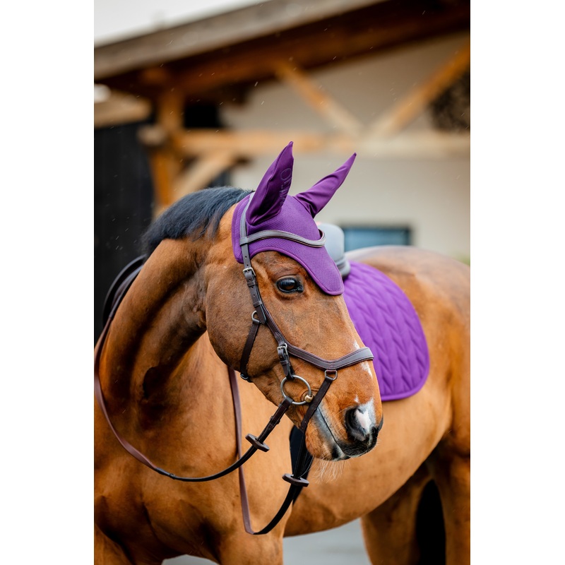 Amigo Earnet – Winterberry