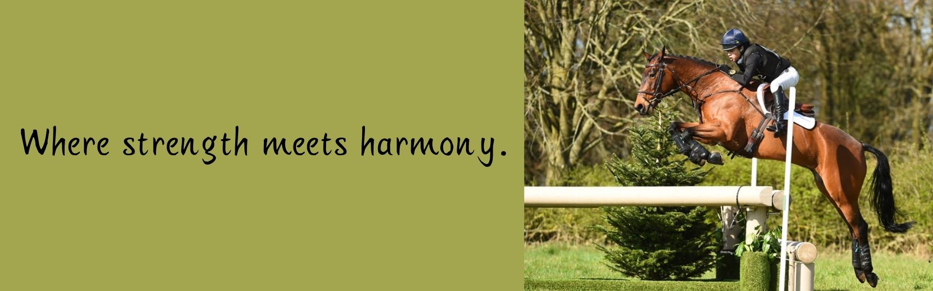 Equestrian Technical Shirts for Performance and Style, Premium Riding Apparel, Footwear, Horse Tack, Stable Supplies and Rider Essentials